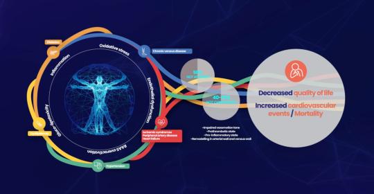 Multidisciplinary approach for the management of cardiometabolic patients